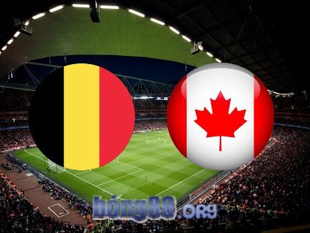 Soi kèo nhà cái Bỉ vs Canada – 02h00 – 24/11/2022